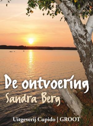 Cover of the book De ontvoering by Anita Verkerk