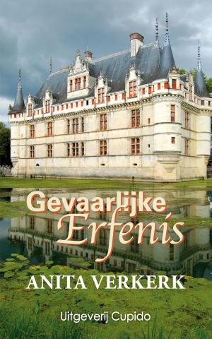 Cover of the book Gevaarlijke erfenis by Anita Verkerk