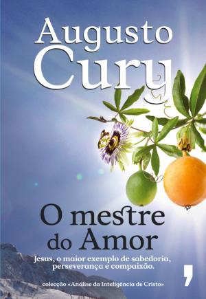 Cover of the book O Mestre do Amor by Jill Loree