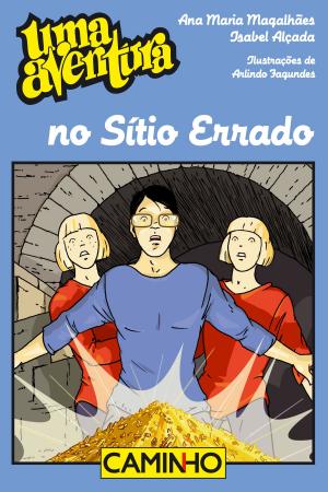 Cover of the book Uma Aventura no Sítio Errado by António Borges Coelho