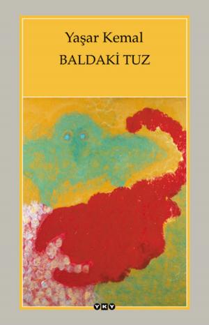 Book cover of Baldaki Tuz