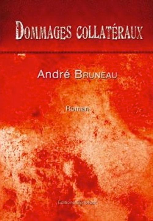 Cover of the book Dommages collatéraux by André Bruneau, Bénévent