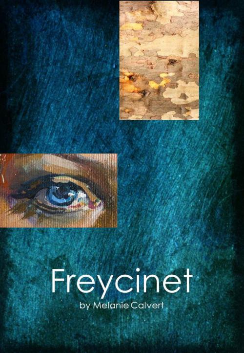 Cover of the book Freycinet by Melanie Calvert, Createspace