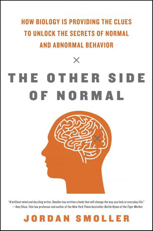 Cover of the book The Other Side of Normal by Jordan Smoller, William Morrow