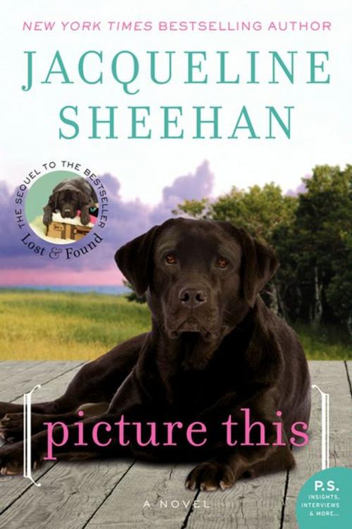 Cover of the book Picture This by Jacqueline Sheehan, William Morrow Paperbacks
