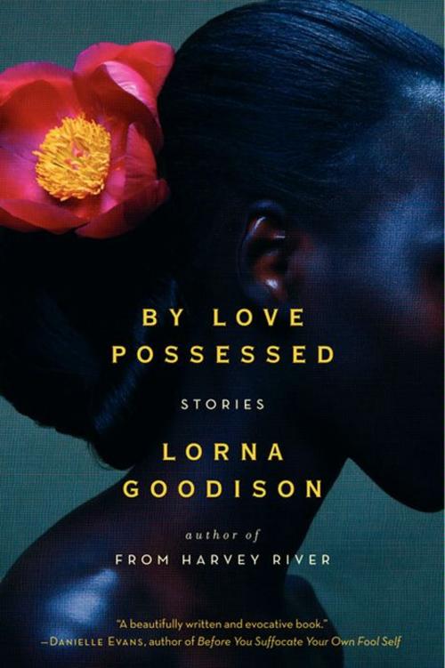 Cover of the book By Love Possessed by Lorna Goodison, Amistad