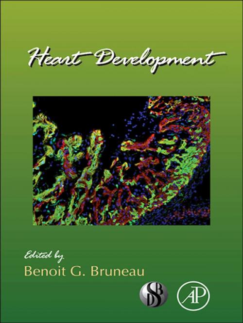 Cover of the book Heart Development by Benoit Bruneau G., Elsevier Science