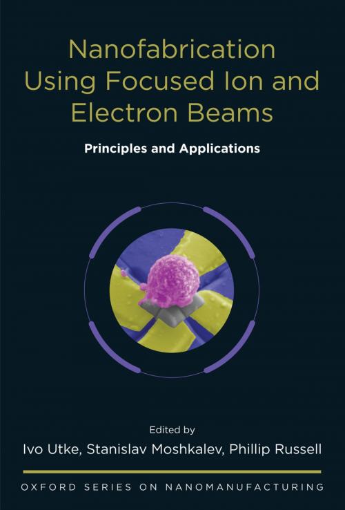 Cover of the book Nanofabrication Using Focused Ion and Electron Beams by , Oxford University Press