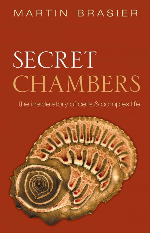 Cover of the book Secret Chambers by Martin Brasier, OUP Oxford