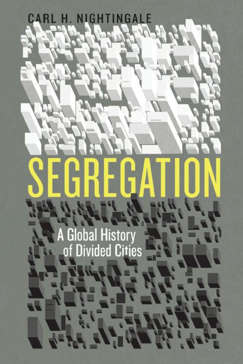 Cover of the book Segregation by Carl H. Nightingale, University of Chicago Press