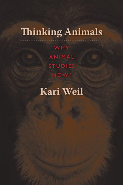 Cover of the book Thinking Animals by Kari Weil, Columbia University Press