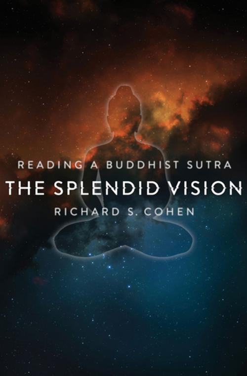 Cover of the book The Splendid Vision by Richard Cohen, Columbia University Press