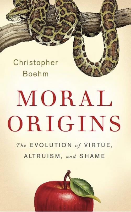 Cover of the book Moral Origins by Christopher Boehm, Basic Books