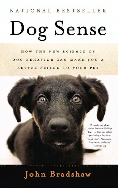Cover of the book Dog Sense by John Bradshaw, Basic Books