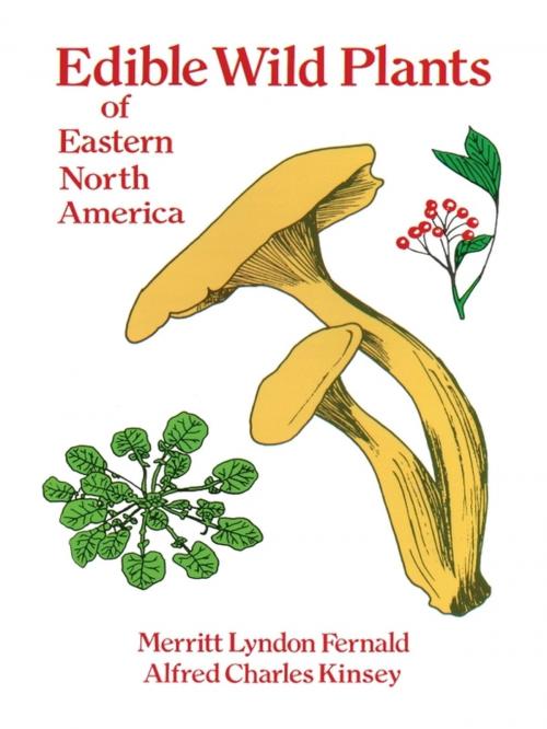 Cover of the book Edible Wild Plants of Eastern North America by Merritt Lyndon Fernald, Alfred Charles Kinsey, Dover Publications