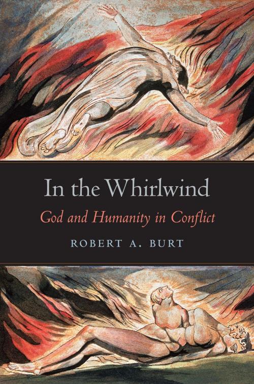 Cover of the book In the Whirlwind by Robert A. Burt, Harvard University Press