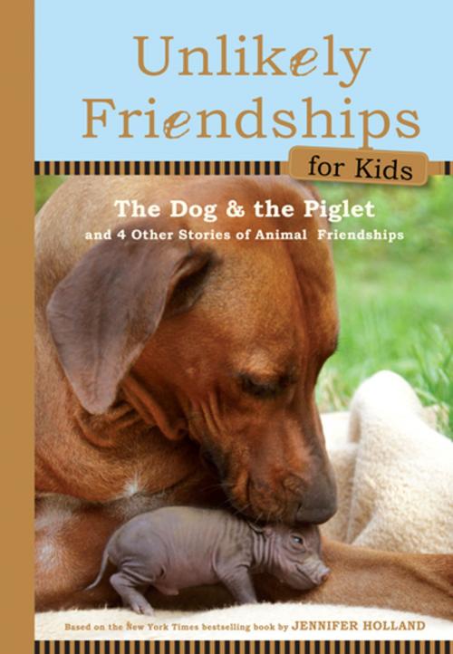 Cover of the book Unlikely Friendships for Kids: The Dog & The Piglet by Jennifer S. Holland, Workman Publishing Company