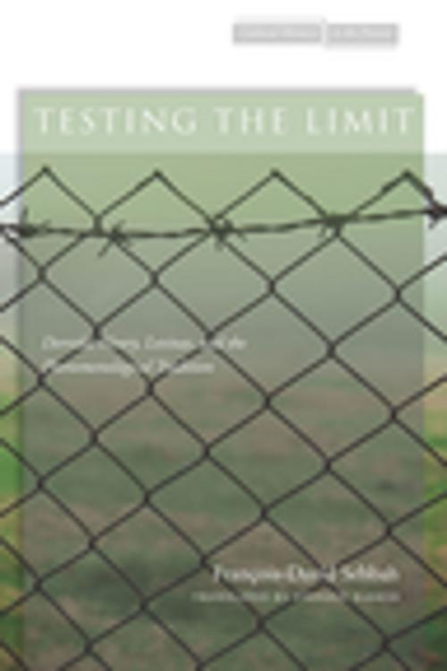 Cover of the book Testing the Limit by François-David Sebbah, Stanford University Press
