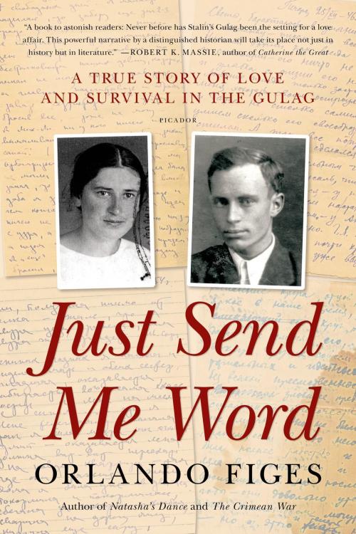 Cover of the book Just Send Me Word by Orlando Figes, Henry Holt and Co.