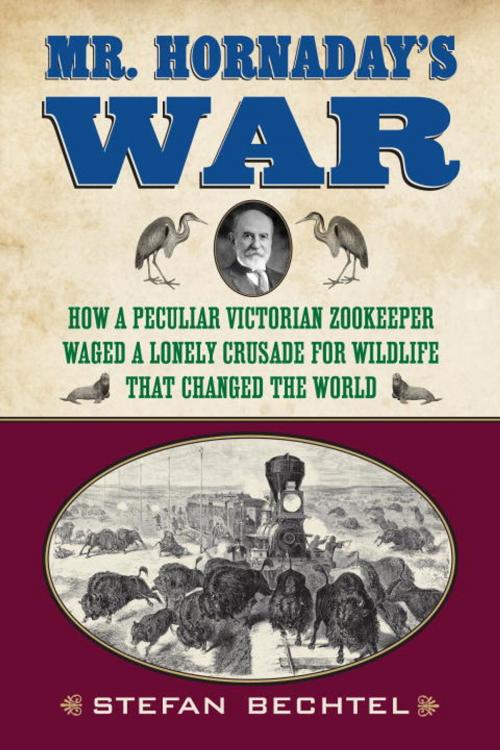 Cover of the book Mr. Hornaday's War by Stefan Bechtel, Beacon Press
