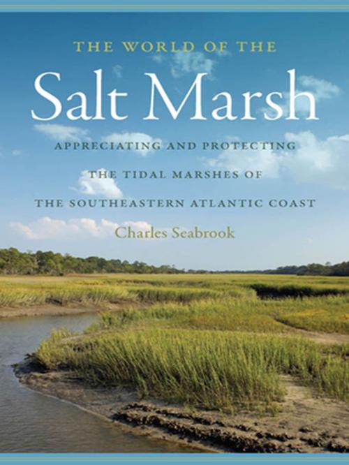 Cover of the book The World of the Salt Marsh by Charles Seabrook, University of Georgia Press