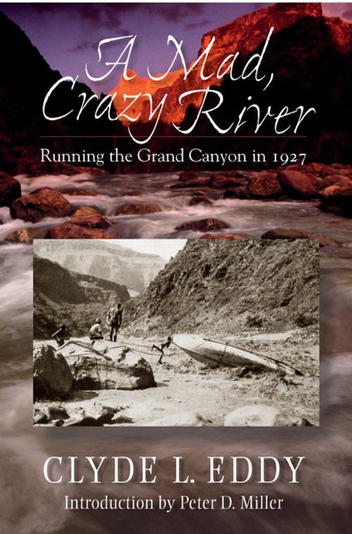 Cover of the book A Mad, Crazy River: Running the Grand Canyon in 1927 by Clyde L. Eddy, University of New Mexico Press in cooperation with Avanyu Publishing Inc.