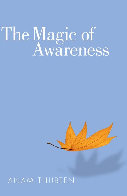 Cover of the book The Magic of Awareness by Anam Thubten, Shambhala