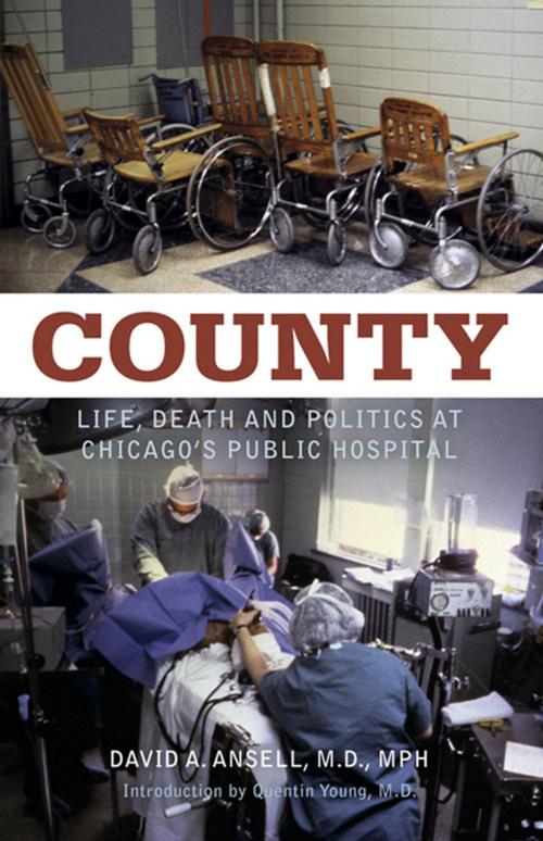 Cover of the book County by David A. Ansell, Chicago Review Press