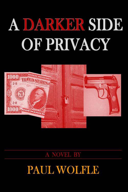 Cover of the book A Darker Side Of Privacy by Paul Wolfle, Paul Wolfle