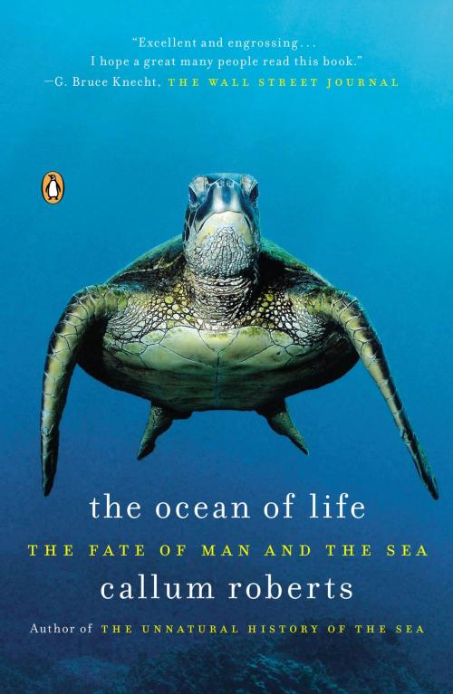 Cover of the book The Ocean of Life by Callum Roberts, Penguin Publishing Group