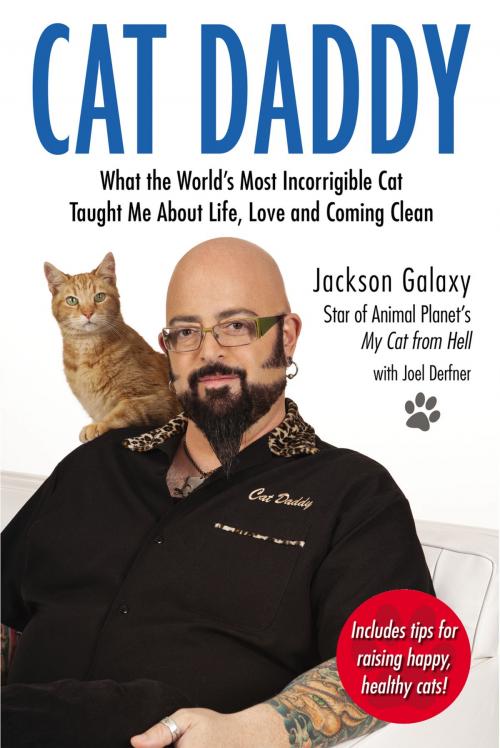 Cover of the book Cat Daddy by Jackson Galaxy, Penguin Publishing Group
