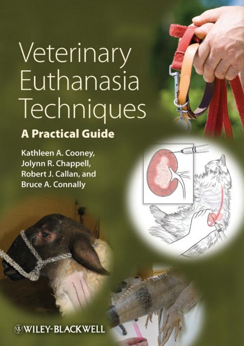 Cover of the book Veterinary Euthanasia Techniques by Kathleen A. Cooney, Jolynn R. Chappell, Robert J. Callan, Bruce A. Connally, Wiley