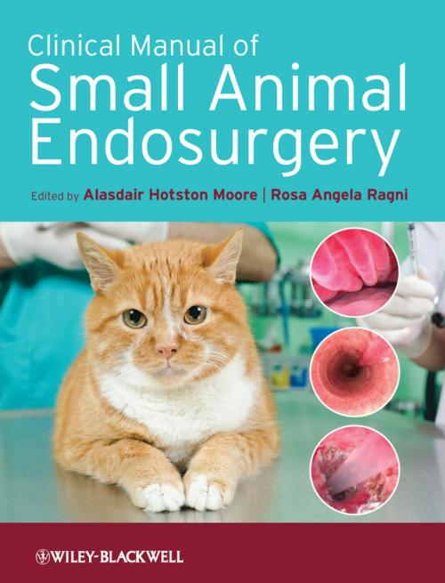 Cover of the book Clinical Manual of Small Animal Endosurgery by , Wiley