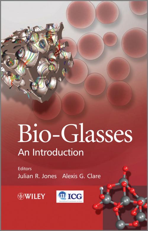 Cover of the book Bio-Glasses by , Wiley