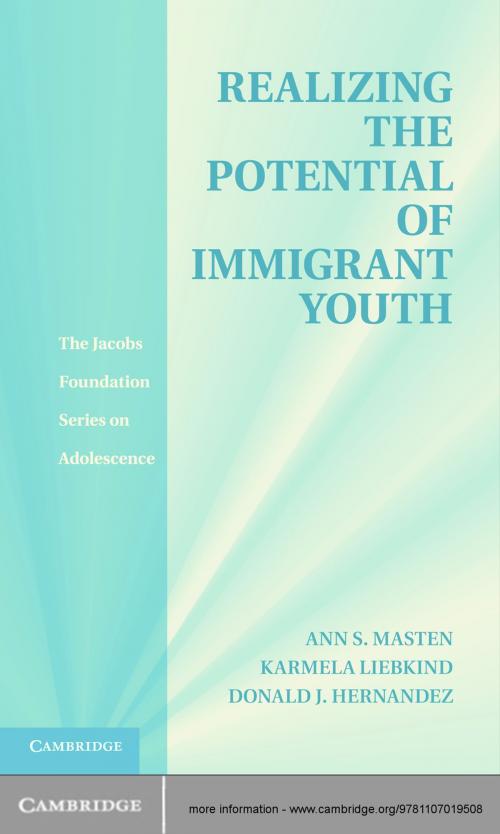 Cover of the book Realizing the Potential of Immigrant Youth by , Cambridge University Press