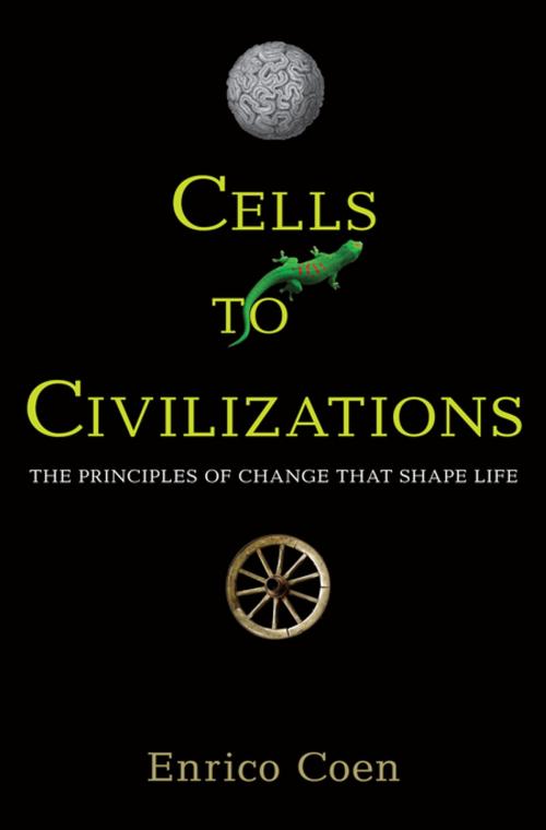 Cover of the book Cells to Civilizations by Enrico Coen, Princeton University Press