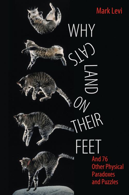 Cover of the book Why Cats Land on Their Feet by Mark Levi, Princeton University Press
