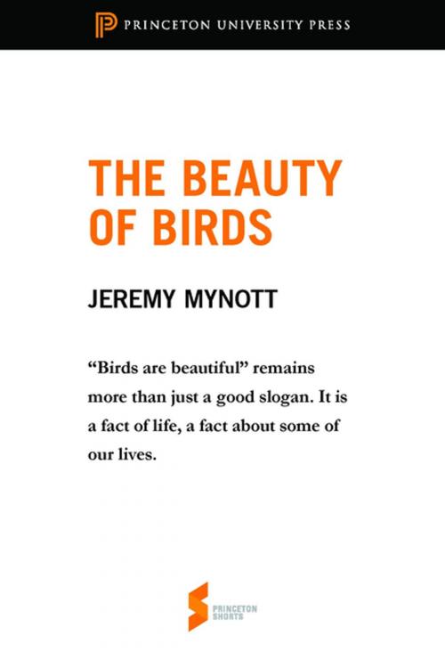 Cover of the book The Beauty of Birds by Jeremy Mynott, Princeton University Press