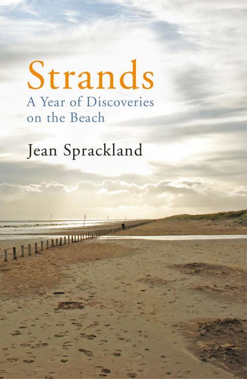 Cover of the book Strands by Jean Sprackland, Random House