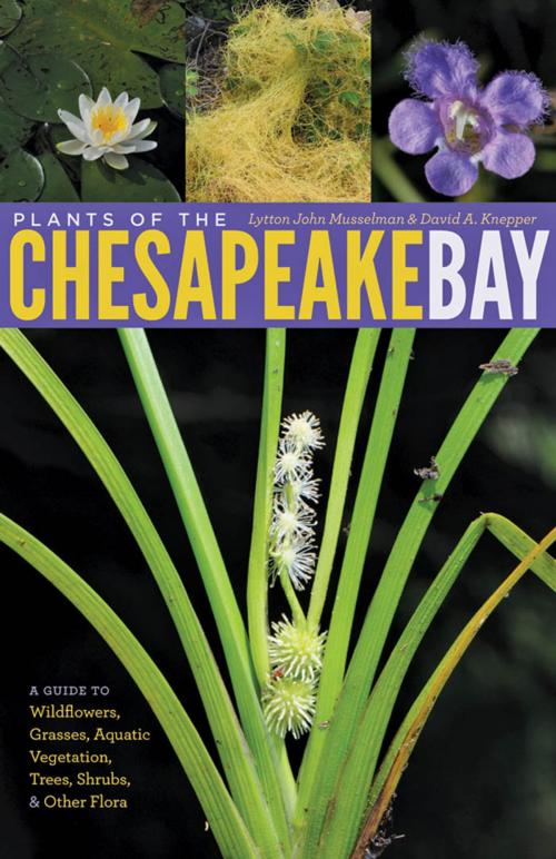 Cover of the book Plants of the Chesapeake Bay by Lytton John Musselman, David A. Knepper, Johns Hopkins University Press
