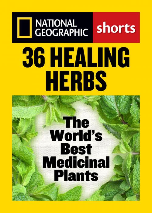Cover of the book 36 Healing Herbs by Rebecca L. Johnson, National Geographic Society