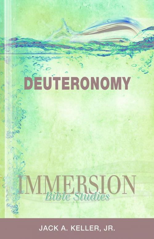 Cover of the book Immersion Bible Studies: Deuteronomy by Abingdon Press, Abingdon Press