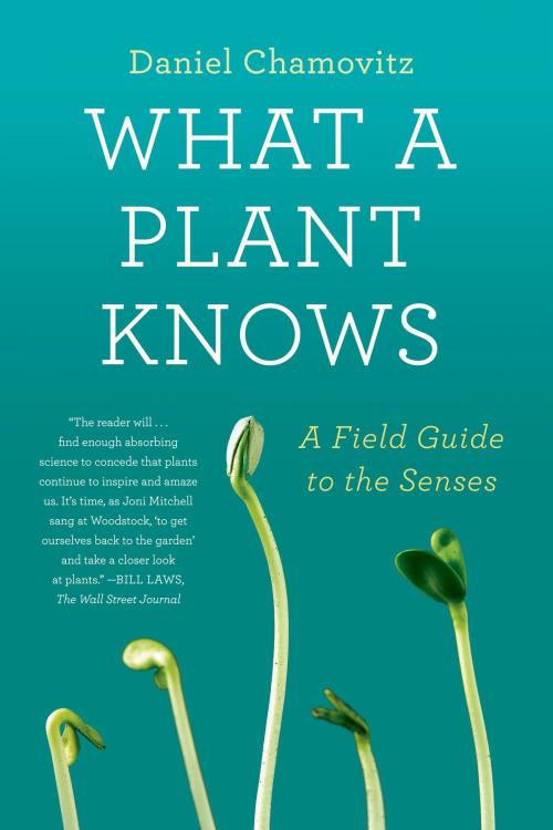Cover of the book What a Plant Knows by Daniel Chamovitz, Farrar, Straus and Giroux