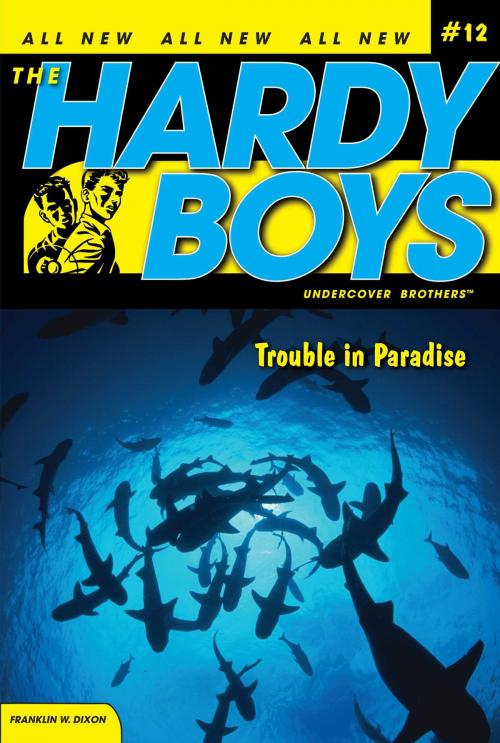 Cover of the book Trouble in Paradise by Franklin W. Dixon, Aladdin