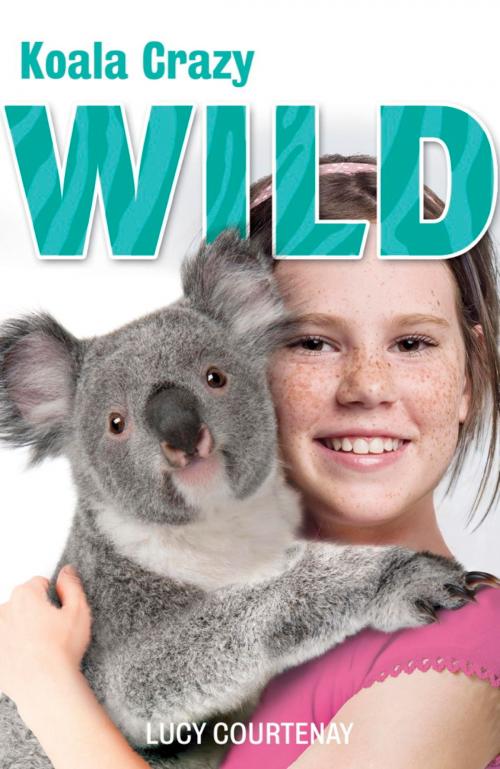 Cover of the book WILD: 4: Koala Crazy by Lucy Courtenay, Hachette Children's
