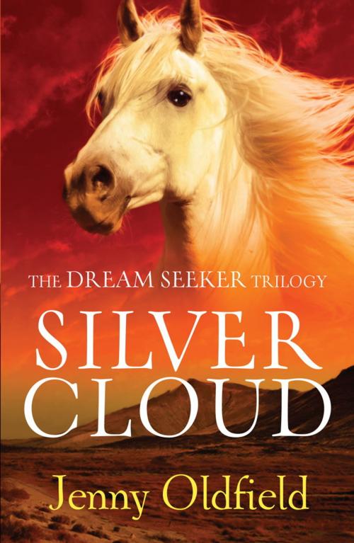 Cover of the book The Dreamseeker Trilogy: Silver Cloud by Jenny Oldfield, Hachette Children's