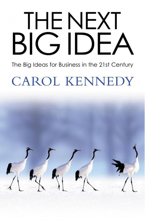 Cover of the book The Next Big Idea by Carol Kennedy, Random House