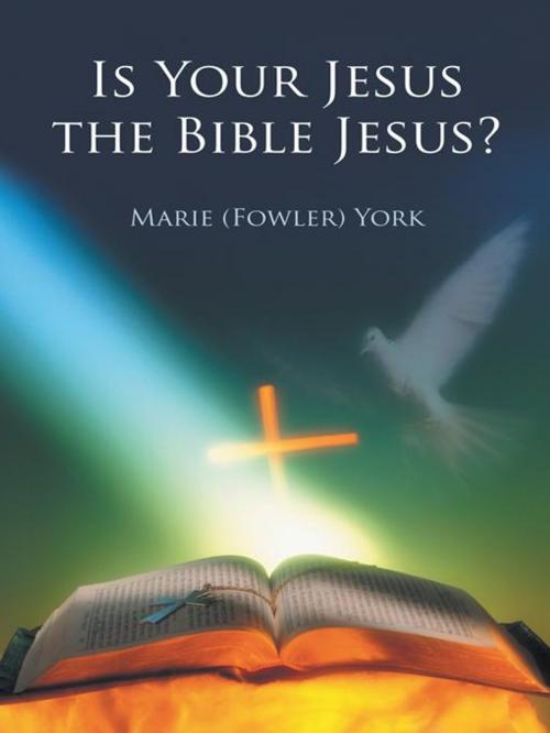 Cover of the book Is Your Jesus the Bible Jesus? by Marie York, WestBow Press