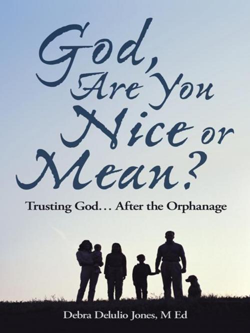 Cover of the book God, Are You Nice or Mean? by Debra Delulio Jones, WestBow Press