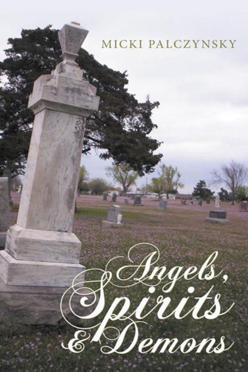 Cover of the book Angels, Spirits and Demons by Micki Palczynsky, WestBow Press